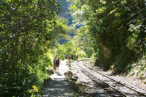 Presupuesto para Machu Picchu: Hidroeléctrica