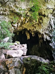 Parque Nacional Tingo María Cueva de las Lechuzas