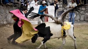yawar fiesta