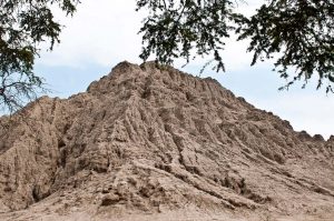 Huaca el Oro Bosque de Pómac