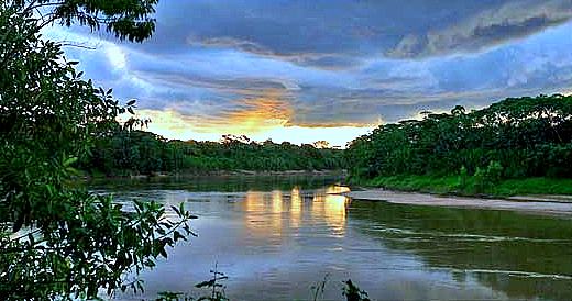 Reserva Nacional Tambopata Candamo