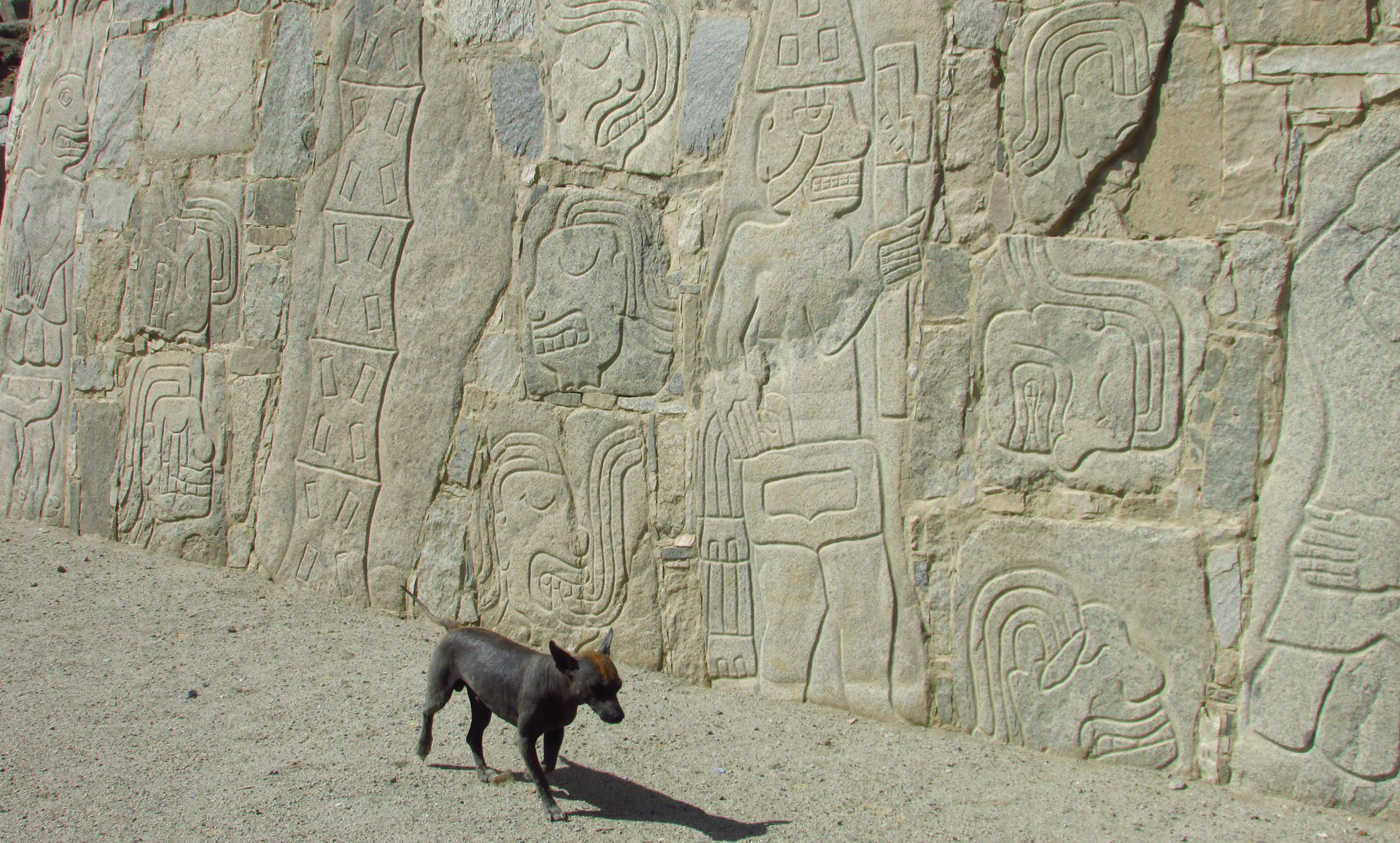 cañón del pato