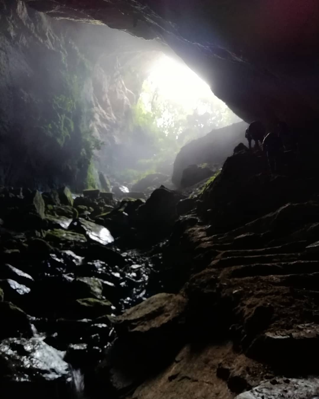 Cueva de los Guácharos. Foto:@mirellarvr