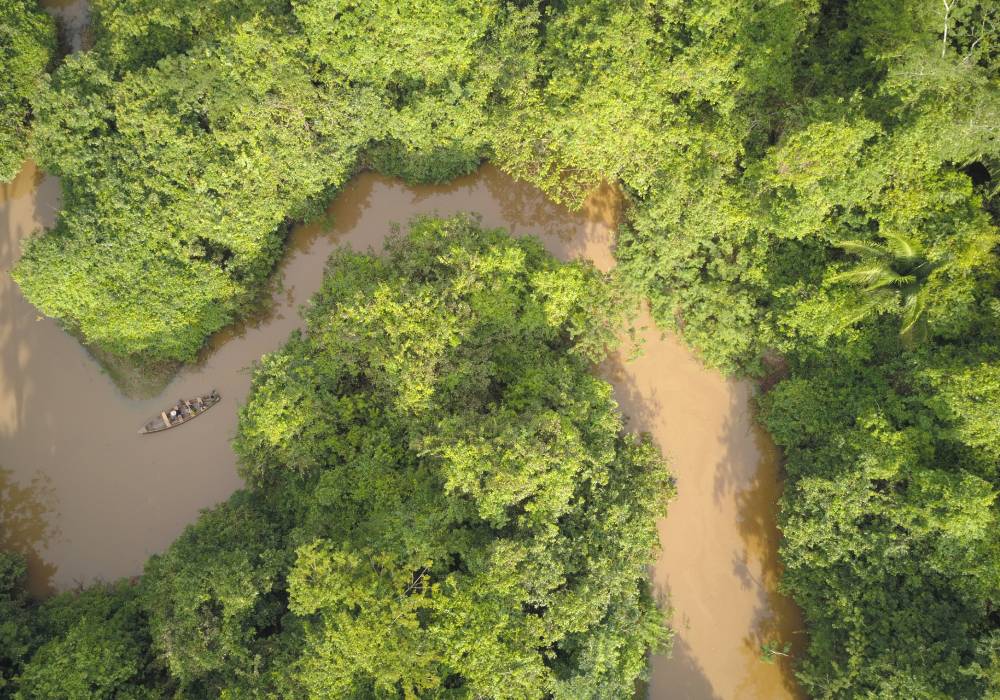 Vista aérea del Río Amazonas desde Puerto Maldonado.