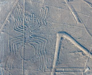 la araña lineas de nazca