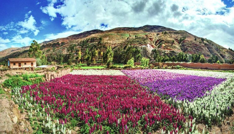 5 motivos para visitar Tarma, la Perla de los Andes
