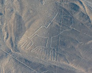 lineas de nazca en ica peru, el colibri