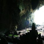 Cueva de las lechuzas, Tingo María