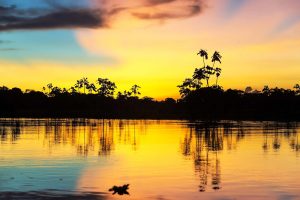 vacaciones en familia