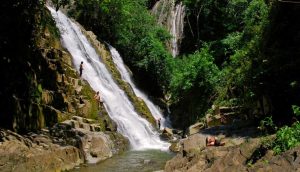 Catarata de Parijaro: Catarata Tsomontonari