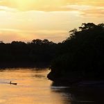 Madre de Dios: Reserva Natural Tambopata