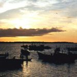 Islas del Perú: Puerto Pizarro