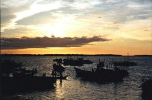 Islas del Perú: Puerto Pizarro