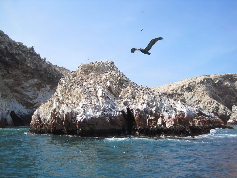 Fin de Semana en Pisco: Islas Ballestas