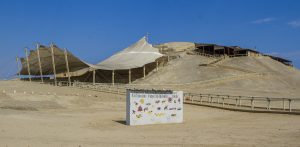 Valle de Chicama: Complejo Arqueológico El Brujo