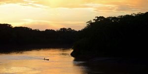 Reserva Nacional de Tambopata
