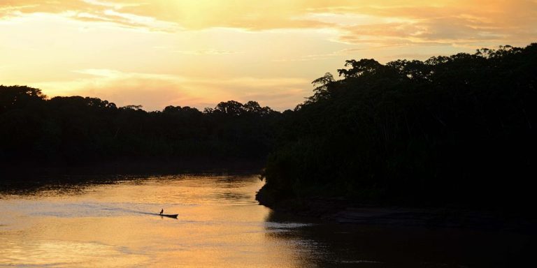 Reserva Nacional de Tambopata