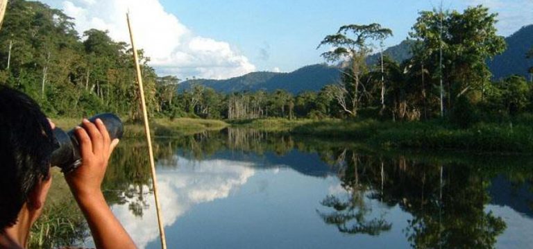 Madre de Dios: descubre los atractivos de la selva sur del Perú