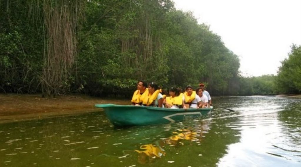 Santuario Nacional Manglares de Tumbes Conoce los encantos del norte