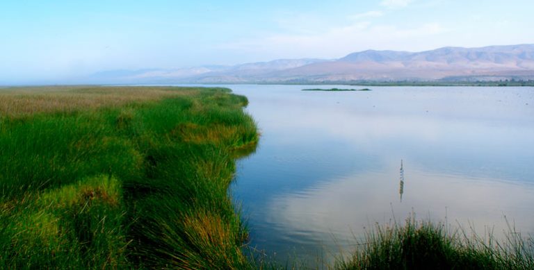 santuario nacional lagunas de mejia