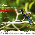 Global Big Day Peru