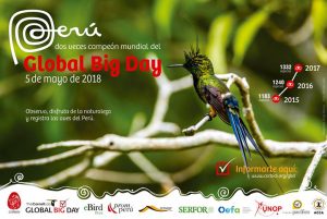Global Big Day Peru