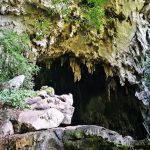 Parque Nacional Tingo María Cueva de las Lechuzas