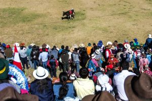 yawar fiesta