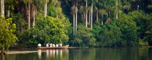 Lugares turísticos de Puerto Maldonado Reserva Tambopata Candamo