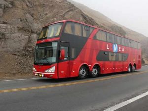 Best Bus Companies in Peru : Linea