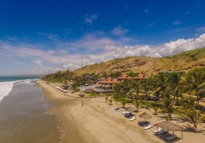 año nuevo 2019
