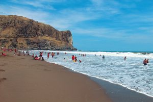 variedades de chilcano