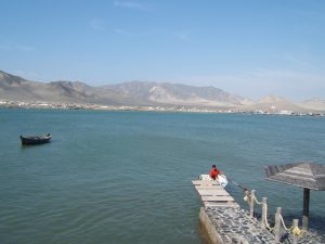 balneario de tortugas