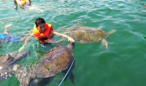 destinos de aventura para ir con tus hijos