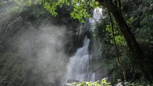 catarata de carpishuyacu