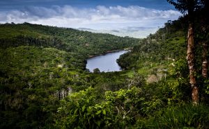 catarata de carpishuyacu