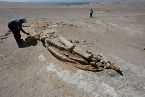 Cañón de los Perdidos