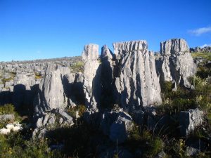 bosque de piedras chota