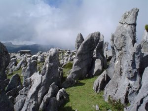 bosque de piedras chota