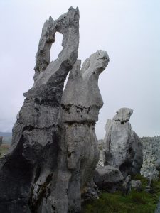 bosque de piedras chota