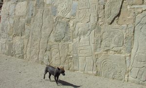 cañón del pato