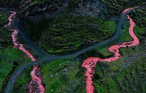 ruta roja