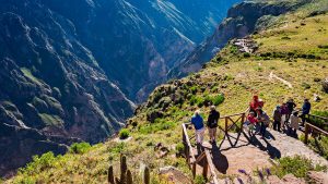 mirador de cóndores