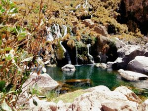 catarata de paccha