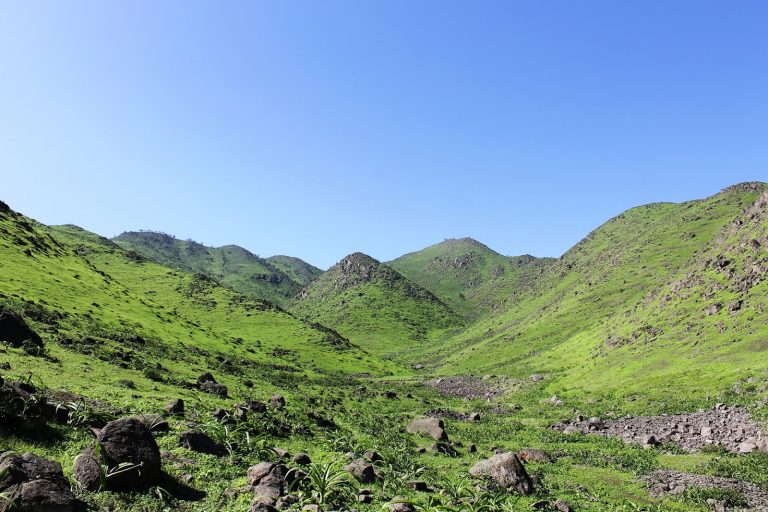 Lomas de Lima las 10 mejores para visitar esta temporada Viajar por Perú