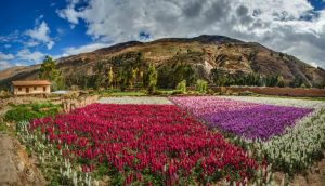 día de la primavera