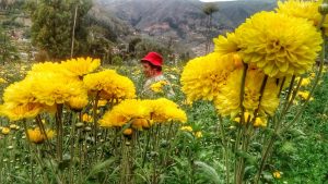 día de la primavera