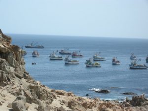 playas de arequipa