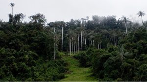 parques nacionales del perú