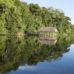 Parque-Nacional-Cordillera-Azul-y-Reserva-Comunal-Amarakaeri-ingresan-a-Lista-Verde-Foto-Sernanp-2